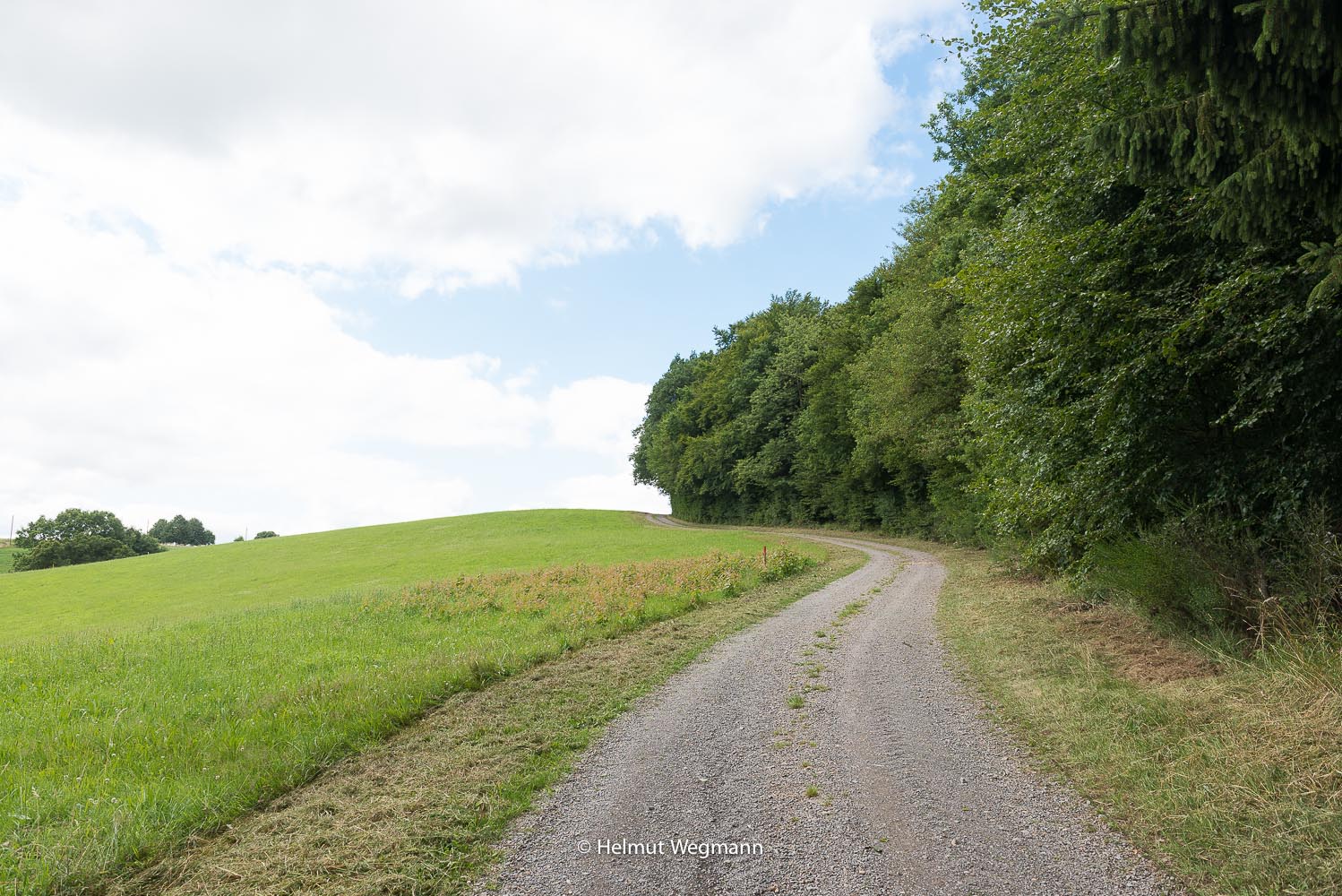 Typischer Feldweg