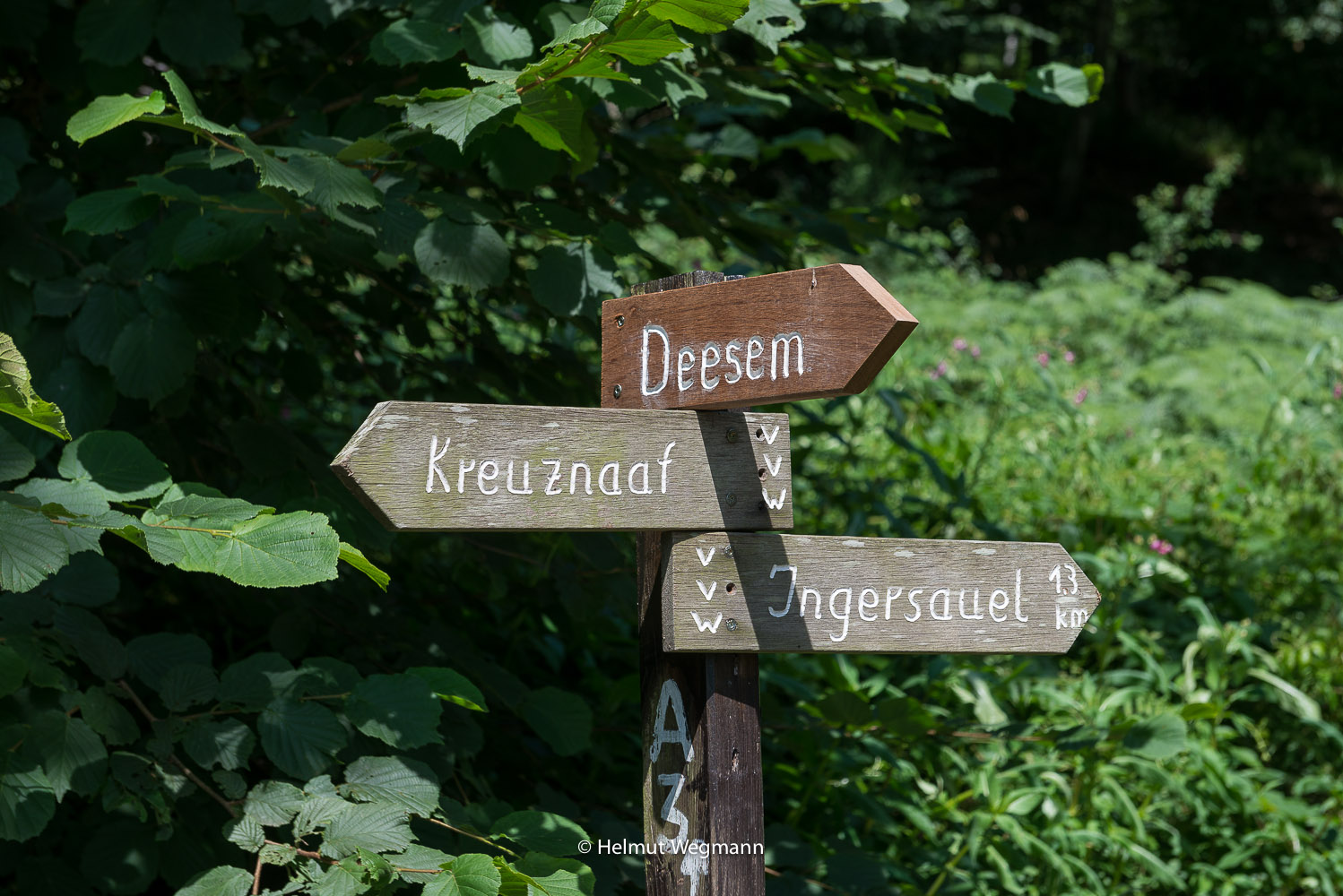 Wegweiser im Naafbachtal