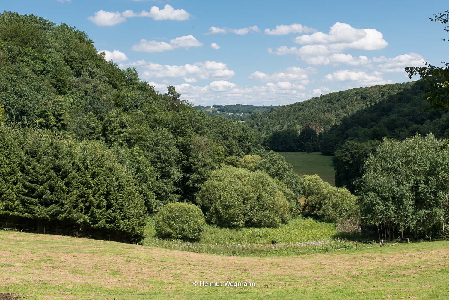 Aufstieg aus dem Naafbachtal