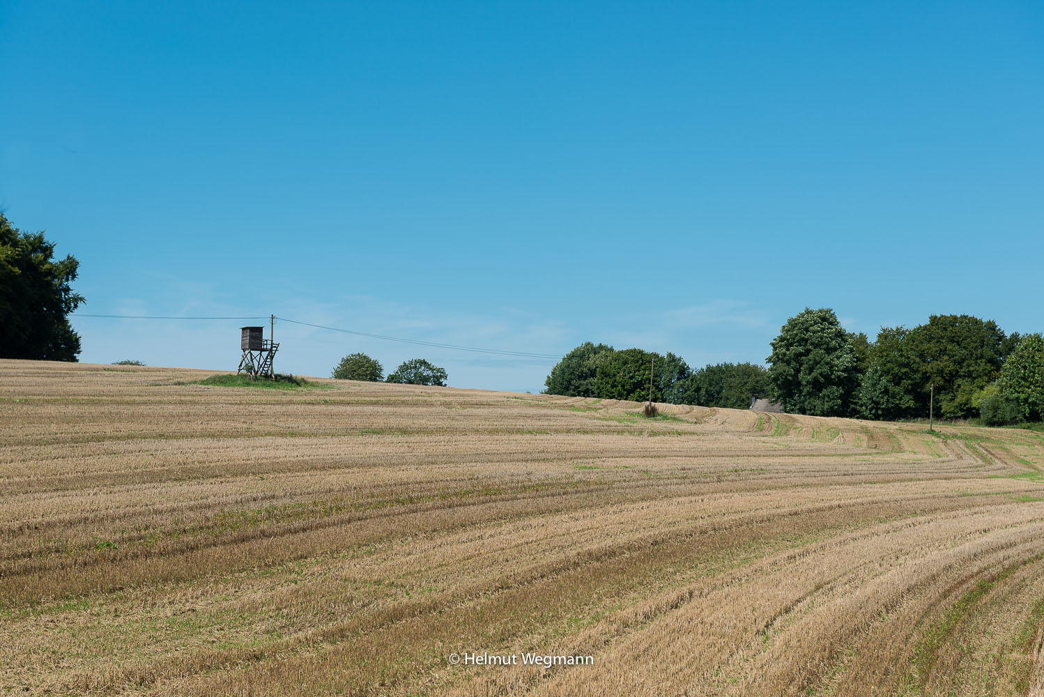 Abgeerntetes Kornfeld