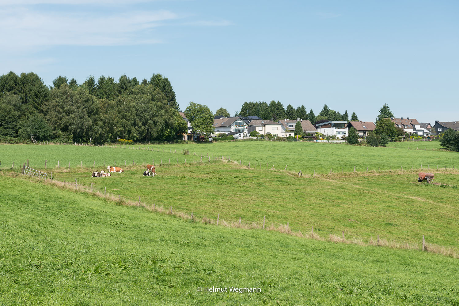 Weideland im Bergischen