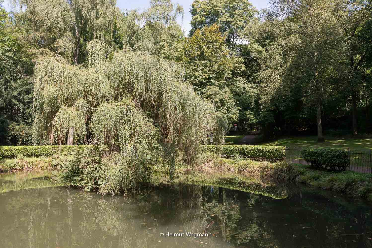 Teich im Gräfrather Park