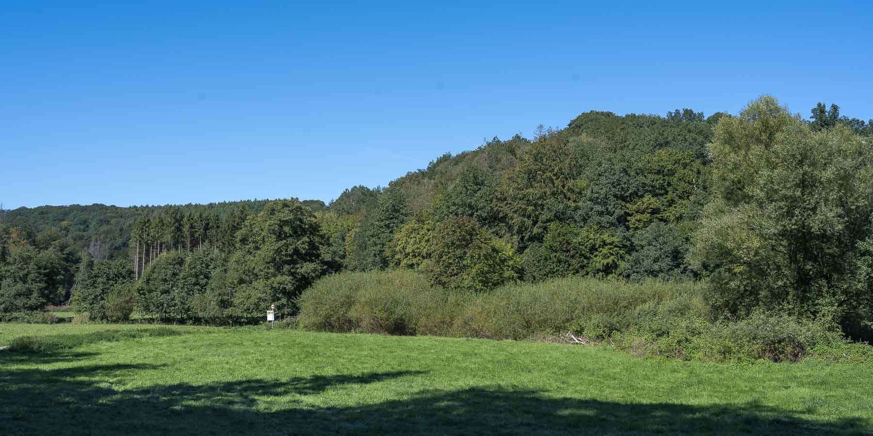 Im Eifgental zwischen Rausmühle und Neue Mühle